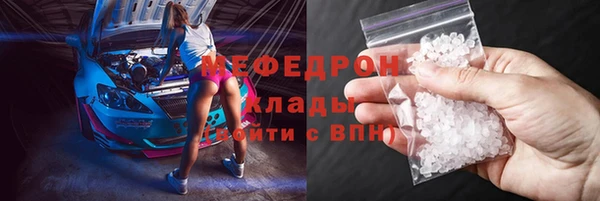 шишки Дубна