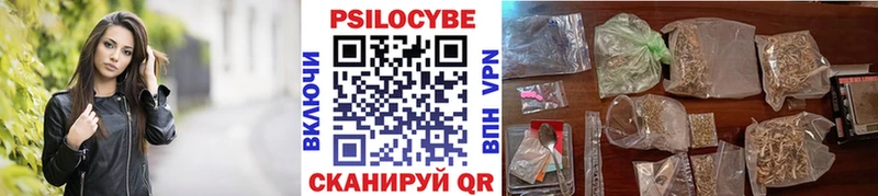 Галлюциногенные грибы Psilocybe Александровск-Сахалинский